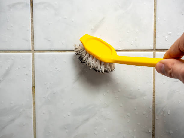 Best Water Damage Restoration  in Dranesville, VA