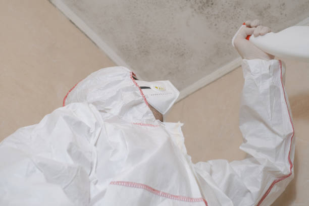 Best Mold Remediation  in Dranesville, VA