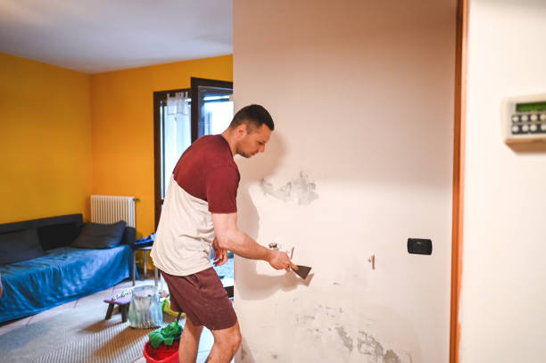 Best Attic Mold Removal  in Dranesville, VA