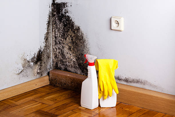 Water Damage Restoration in Dranesville, VA